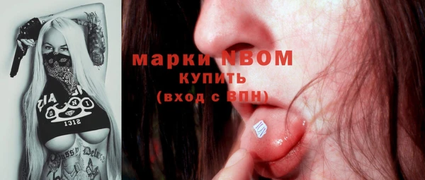 ГАЛЛЮЦИНОГЕННЫЕ ГРИБЫ Арсеньев