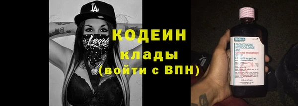 ГАЛЛЮЦИНОГЕННЫЕ ГРИБЫ Арсеньев