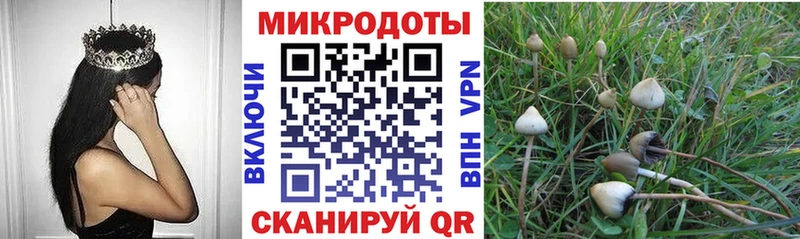 Псилоцибиновые грибы Psilocybe  наркошоп  Ивдель 